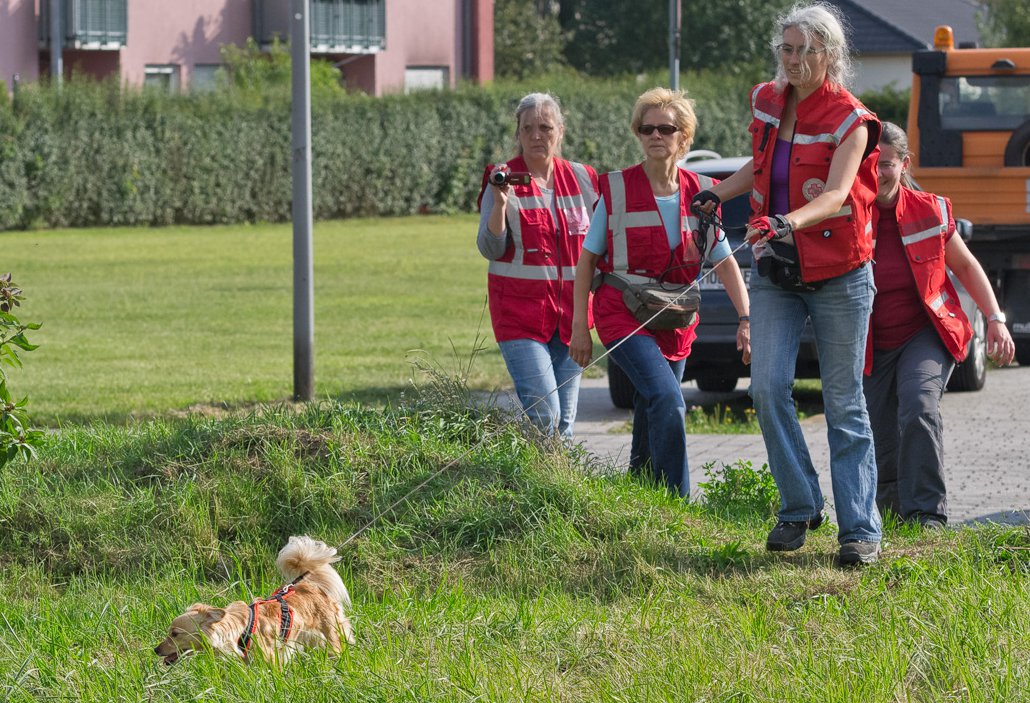 Foto: R. Hanke Feechen trailt